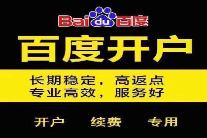百度竞价SEM实战案例：助力企业业绩增长